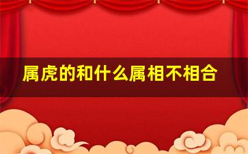 属虎的和什么属相不相合