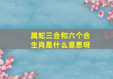 属蛇三合和六个合生肖是什么意思呀