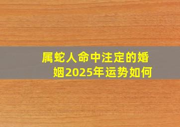 属蛇人命中注定的婚姻2025年运势如何