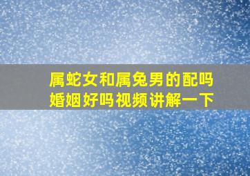 属蛇女和属兔男的配吗婚姻好吗视频讲解一下