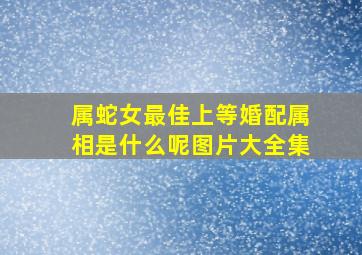 属蛇女最佳上等婚配属相是什么呢图片大全集