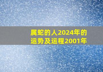 属蛇的人2024年的运势及运程2001年