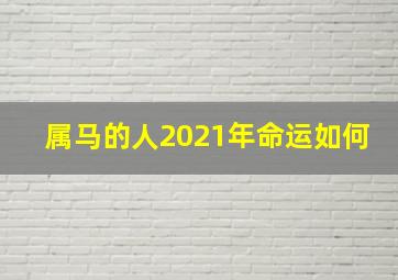 属马的人2021年命运如何