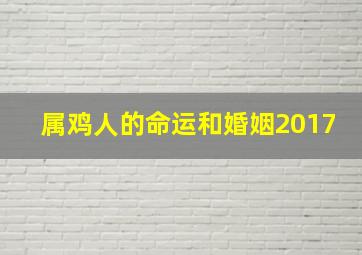 属鸡人的命运和婚姻2017