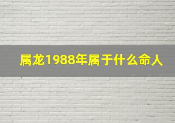 属龙1988年属于什么命人