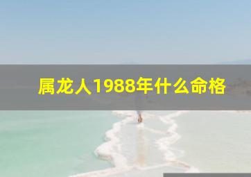 属龙人1988年什么命格