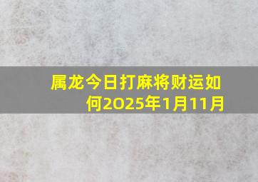 属龙今日打麻将财运如何2O25年1月11月