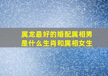 属龙最好的婚配属相男是什么生肖和属相女生