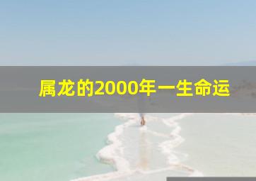 属龙的2000年一生命运