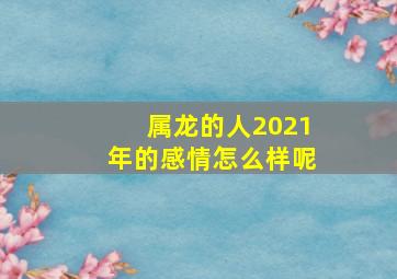 属龙的人2021年的感情怎么样呢