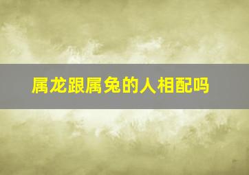 属龙跟属兔的人相配吗