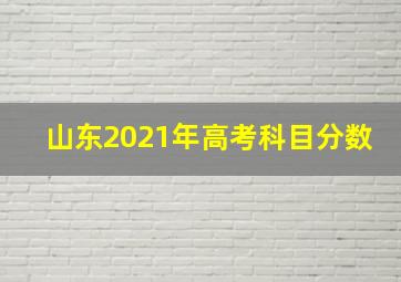 山东2021年高考科目分数