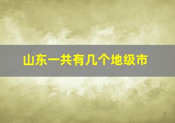 山东一共有几个地级市