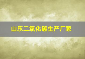 山东二氧化碳生产厂家