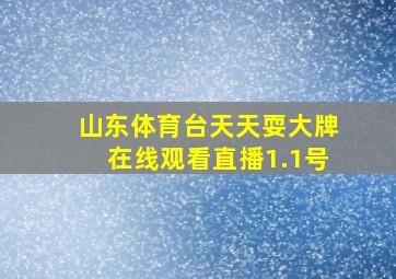 山东体育台天天耍大牌在线观看直播1.1号