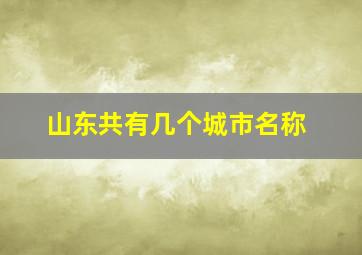 山东共有几个城市名称