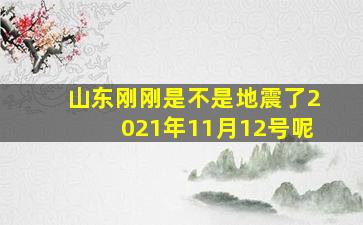 山东刚刚是不是地震了2021年11月12号呢