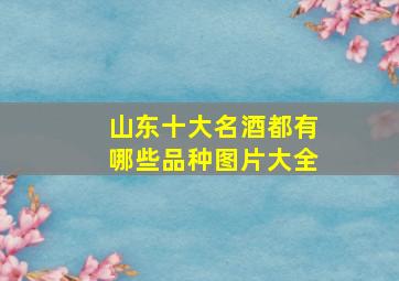 山东十大名酒都有哪些品种图片大全