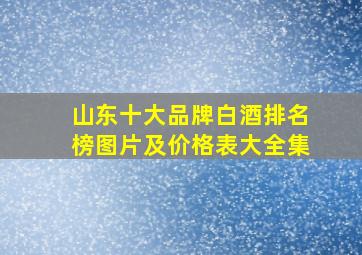 山东十大品牌白酒排名榜图片及价格表大全集