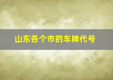 山东各个市的车牌代号