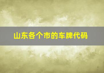 山东各个市的车牌代码