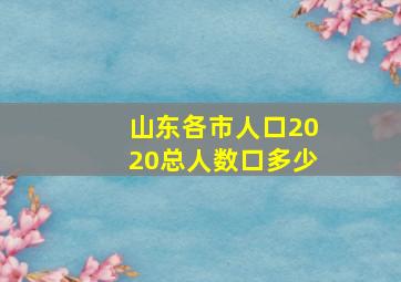 山东各市人口2020总人数口多少