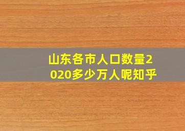 山东各市人口数量2020多少万人呢知乎