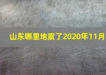 山东哪里地震了2020年11月