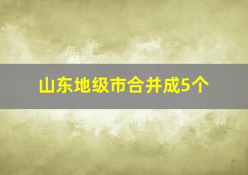 山东地级市合并成5个