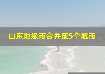 山东地级市合并成5个城市