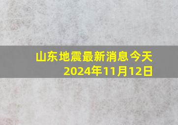 山东地震最新消息今天2024年11月12日