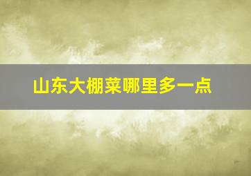 山东大棚菜哪里多一点