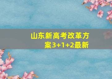 山东新高考改革方案3+1+2最新