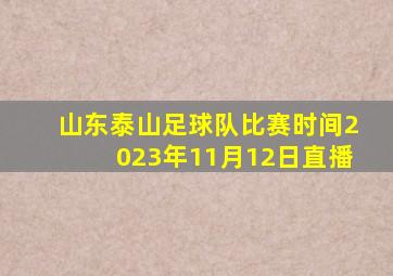 山东泰山足球队比赛时间2023年11月12日直播