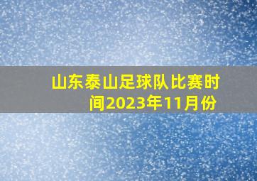 山东泰山足球队比赛时间2023年11月份