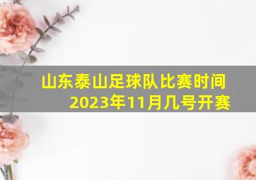 山东泰山足球队比赛时间2023年11月几号开赛