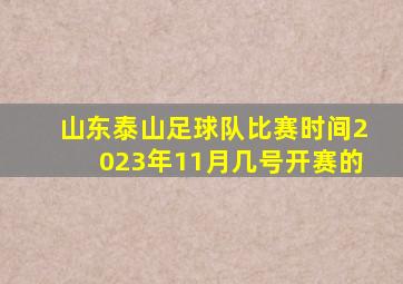 山东泰山足球队比赛时间2023年11月几号开赛的