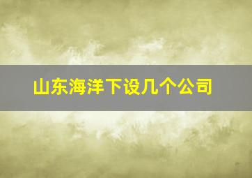 山东海洋下设几个公司