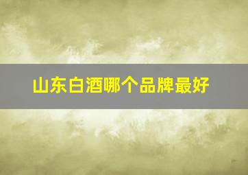 山东白酒哪个品牌最好