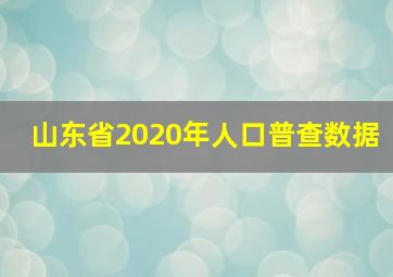 山东省2020年人口普查数据