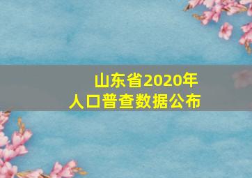 山东省2020年人口普查数据公布