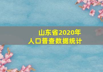 山东省2020年人口普查数据统计