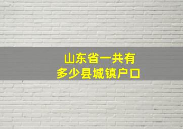 山东省一共有多少县城镇户口