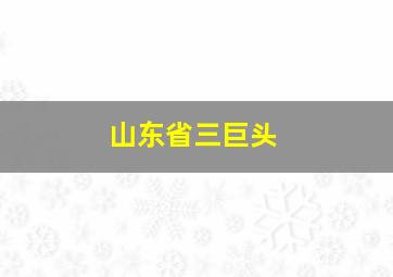 山东省三巨头