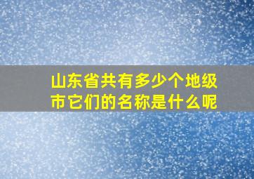 山东省共有多少个地级市它们的名称是什么呢