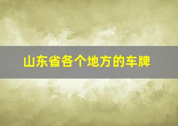 山东省各个地方的车牌