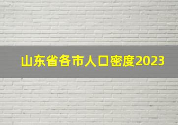 山东省各市人口密度2023