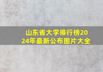 山东省大学排行榜2024年最新公布图片大全