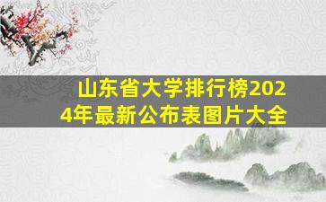 山东省大学排行榜2024年最新公布表图片大全