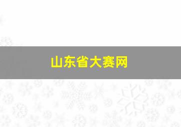 山东省大赛网